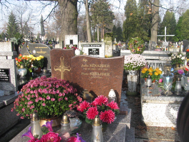 Grób WŁADYSŁAW PIOTROWSKI