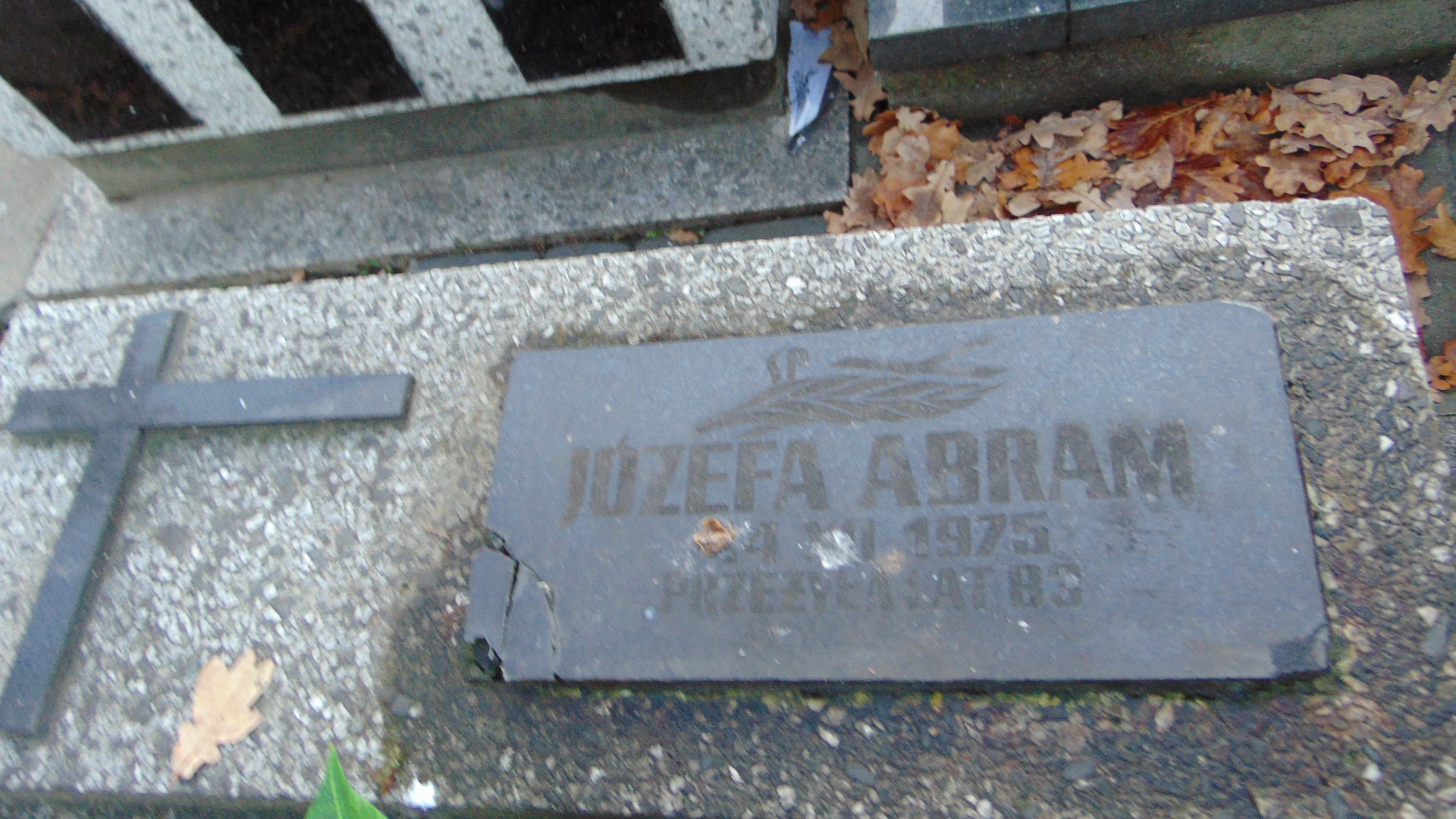 Józefa Abram 1893 Nowy Sącz - Grobonet - Wyszukiwarka osób pochowanych