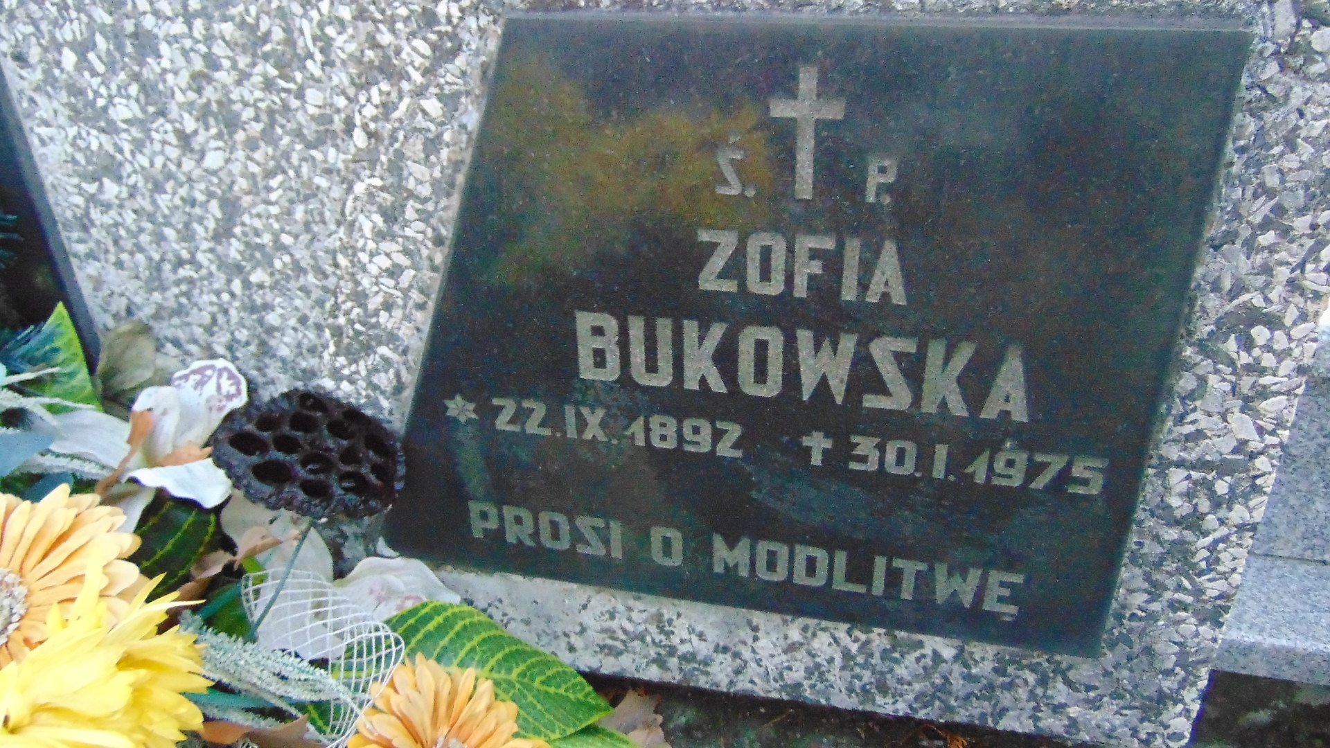 Zofia Bukowska 1892 Nowy Sącz - Grobonet - Wyszukiwarka osób pochowanych