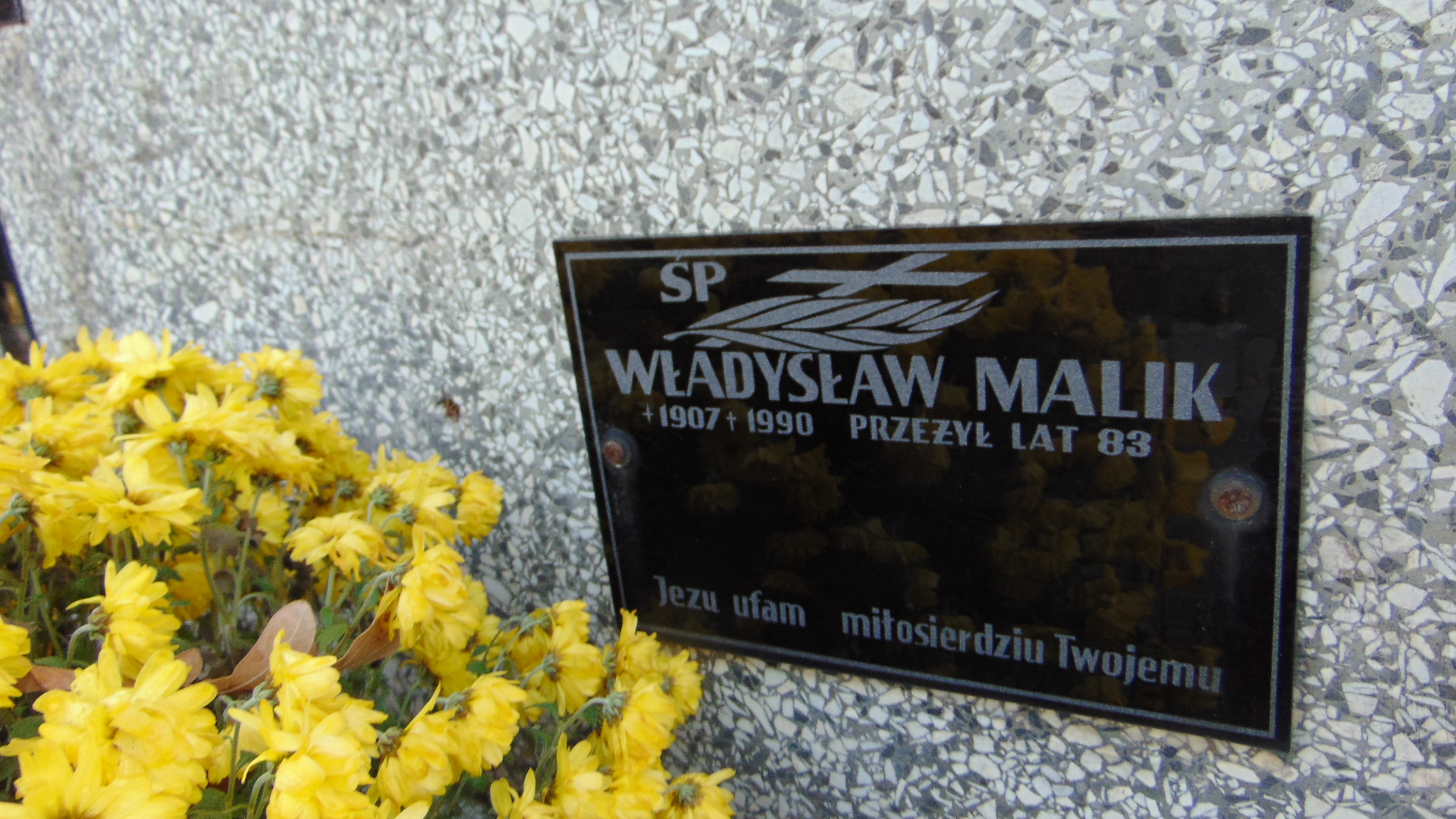 Irena Malik 1929 Nowy Sącz - Grobonet - Wyszukiwarka osób pochowanych