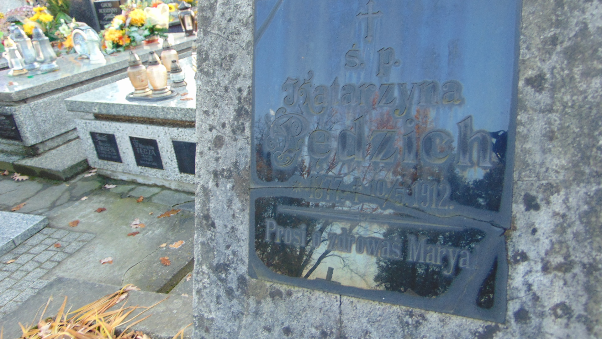 Józef Pędzich 1874 Nowy Sącz - Grobonet - Wyszukiwarka osób pochowanych