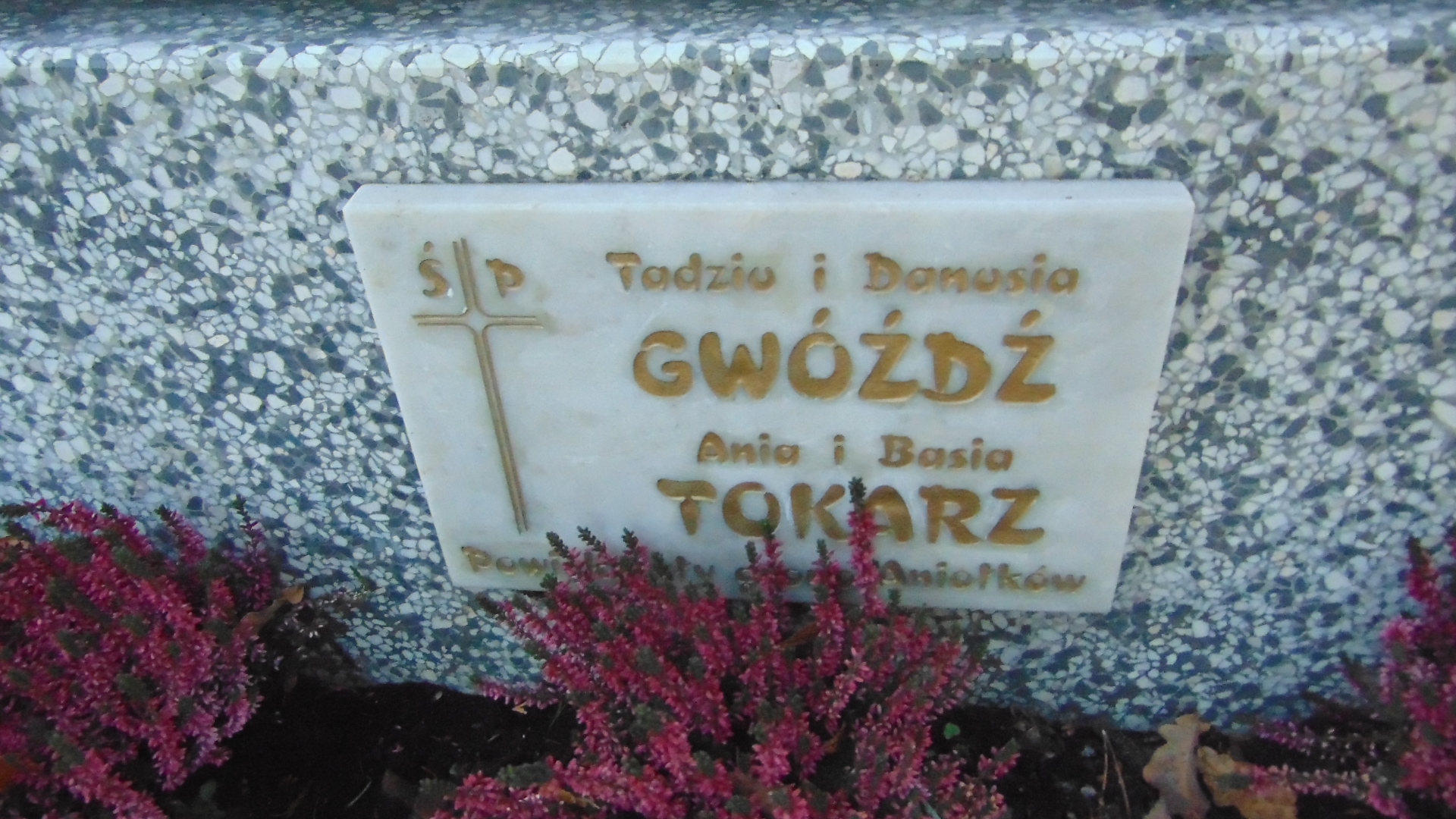 Maria Gwóźdź 1919 Nowy Sącz - Grobonet - Wyszukiwarka osób pochowanych