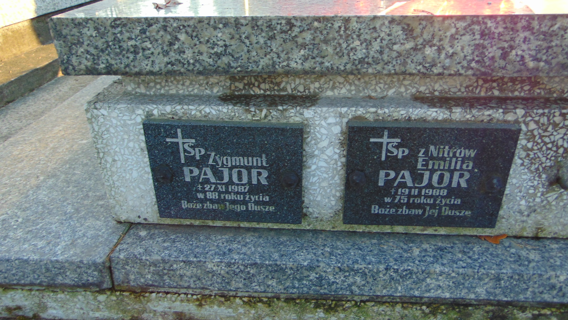 Zofia Pajor 1938 Nowy Sącz - Grobonet - Wyszukiwarka osób pochowanych