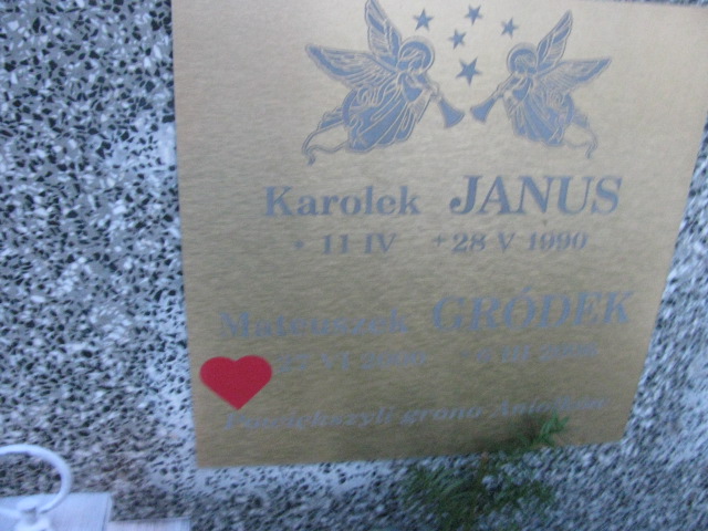 Amelia Janus  2020 Nowy Sącz - Grobonet - Wyszukiwarka osób pochowanych