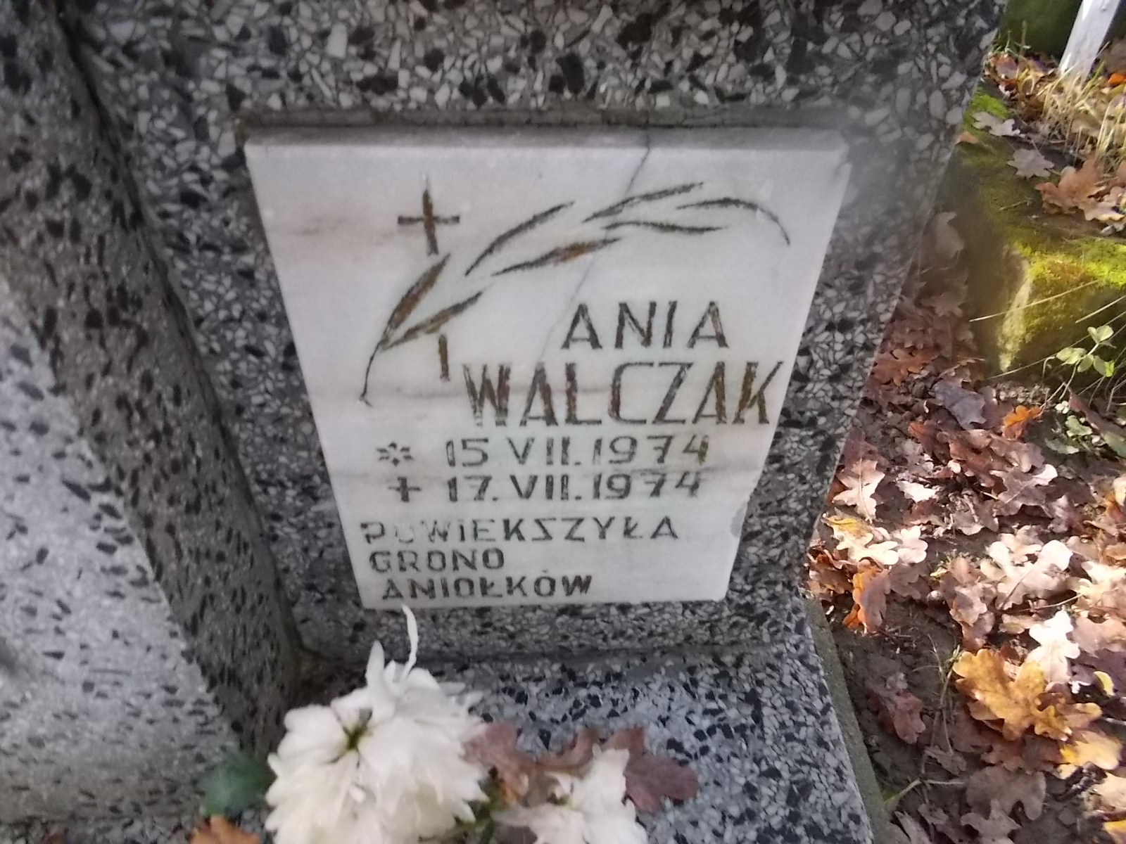 Anna Walczak 1974 Nowy Sącz - Grobonet - Wyszukiwarka osób pochowanych