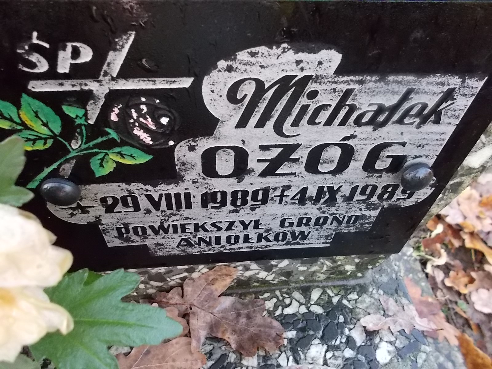 Michał Ożóg 1989 Nowy Sącz - Grobonet - Wyszukiwarka osób pochowanych