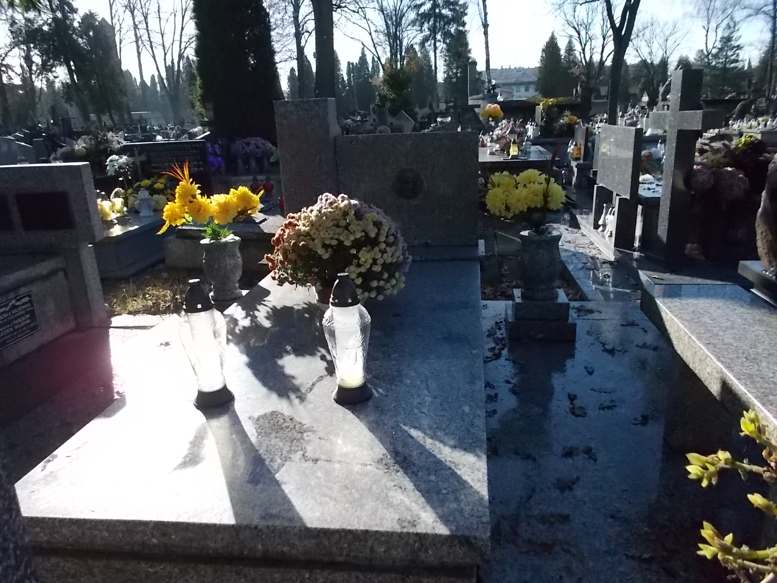 Grób Jadwiga Pawlowski