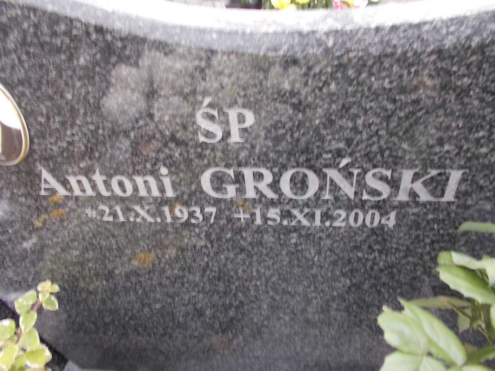 Zdjęcie grobu