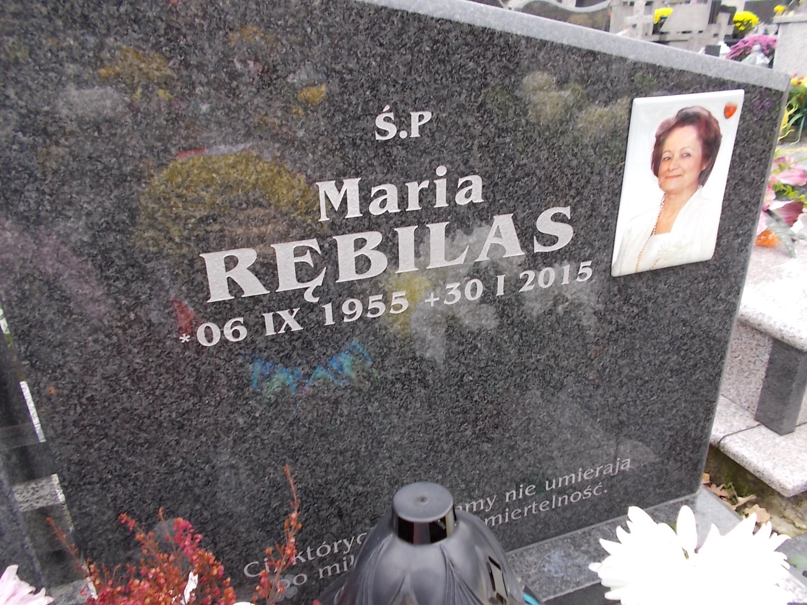 Maria Rębilas 1955 Nowy Sącz - Grobonet - Wyszukiwarka osób pochowanych