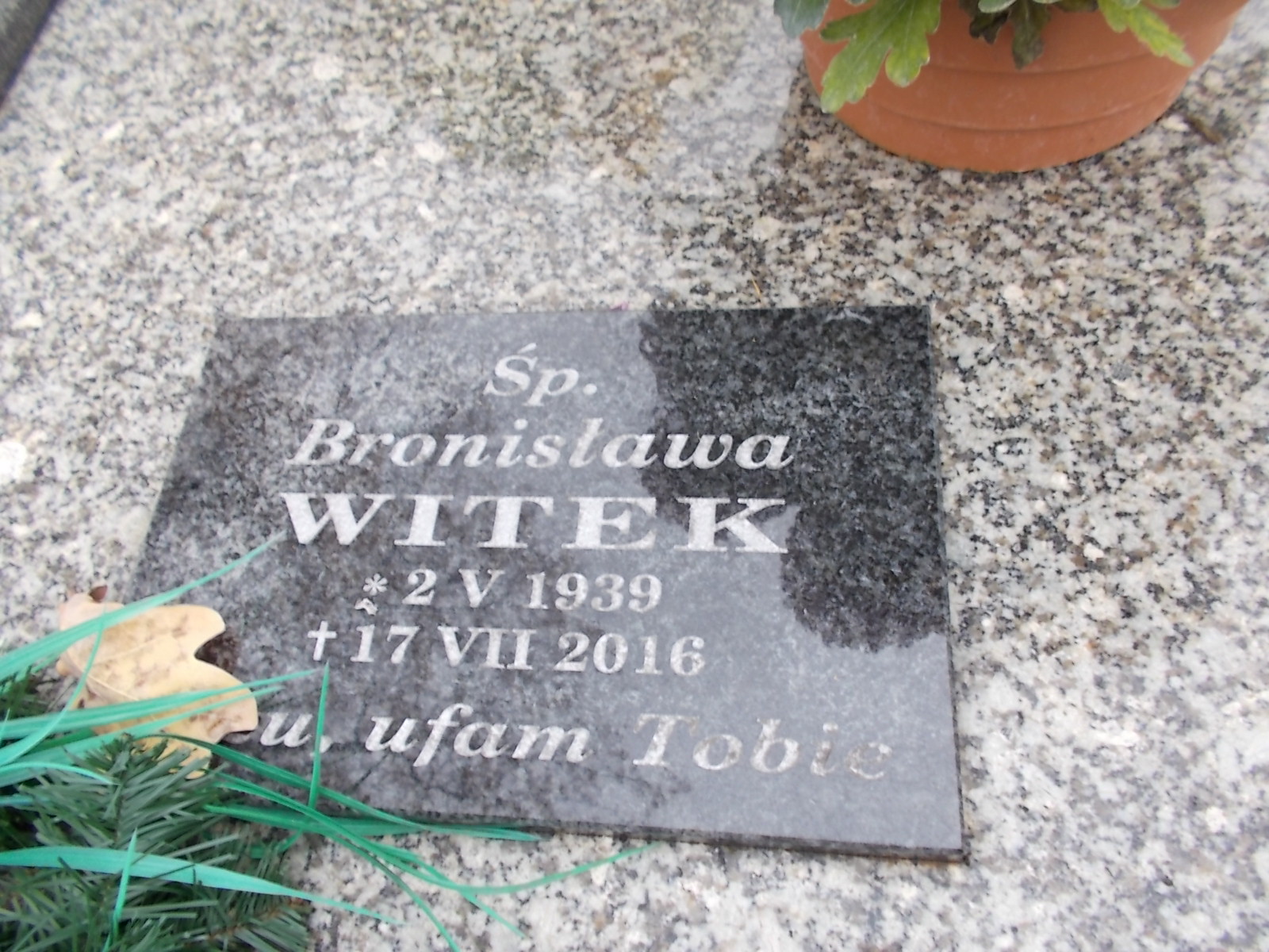 Zdjęcie grobu