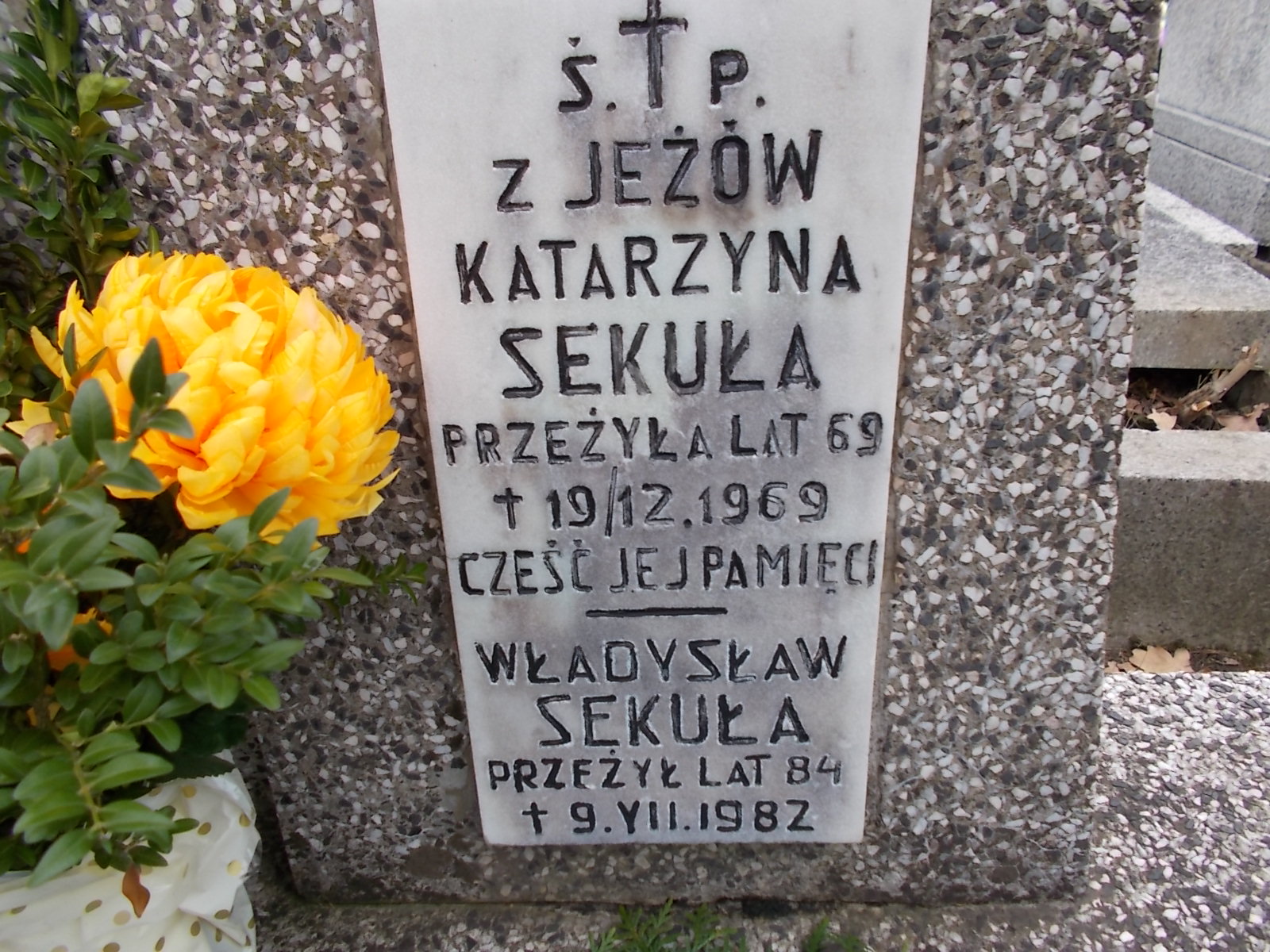 Władysław Sekuła 1898 Nowy Sącz - Grobonet - Wyszukiwarka osób pochowanych