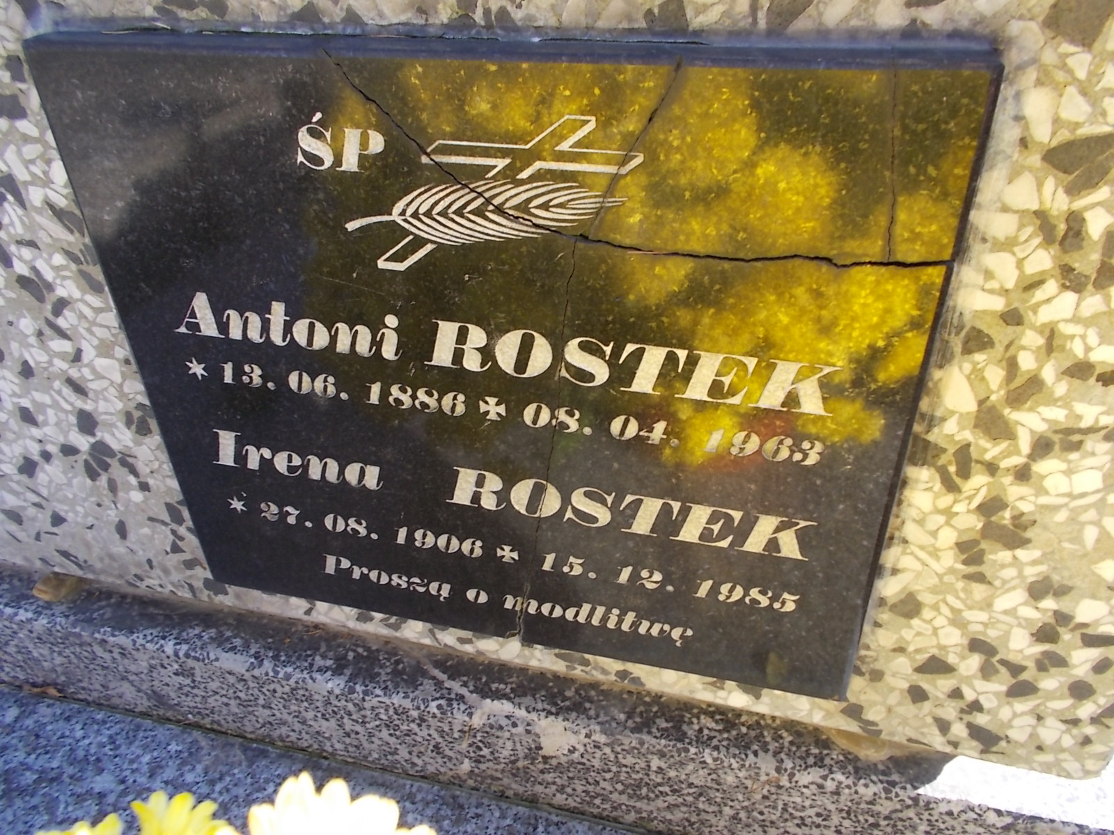 Irena Rostek 1906 Nowy Sącz - Grobonet - Wyszukiwarka osób pochowanych