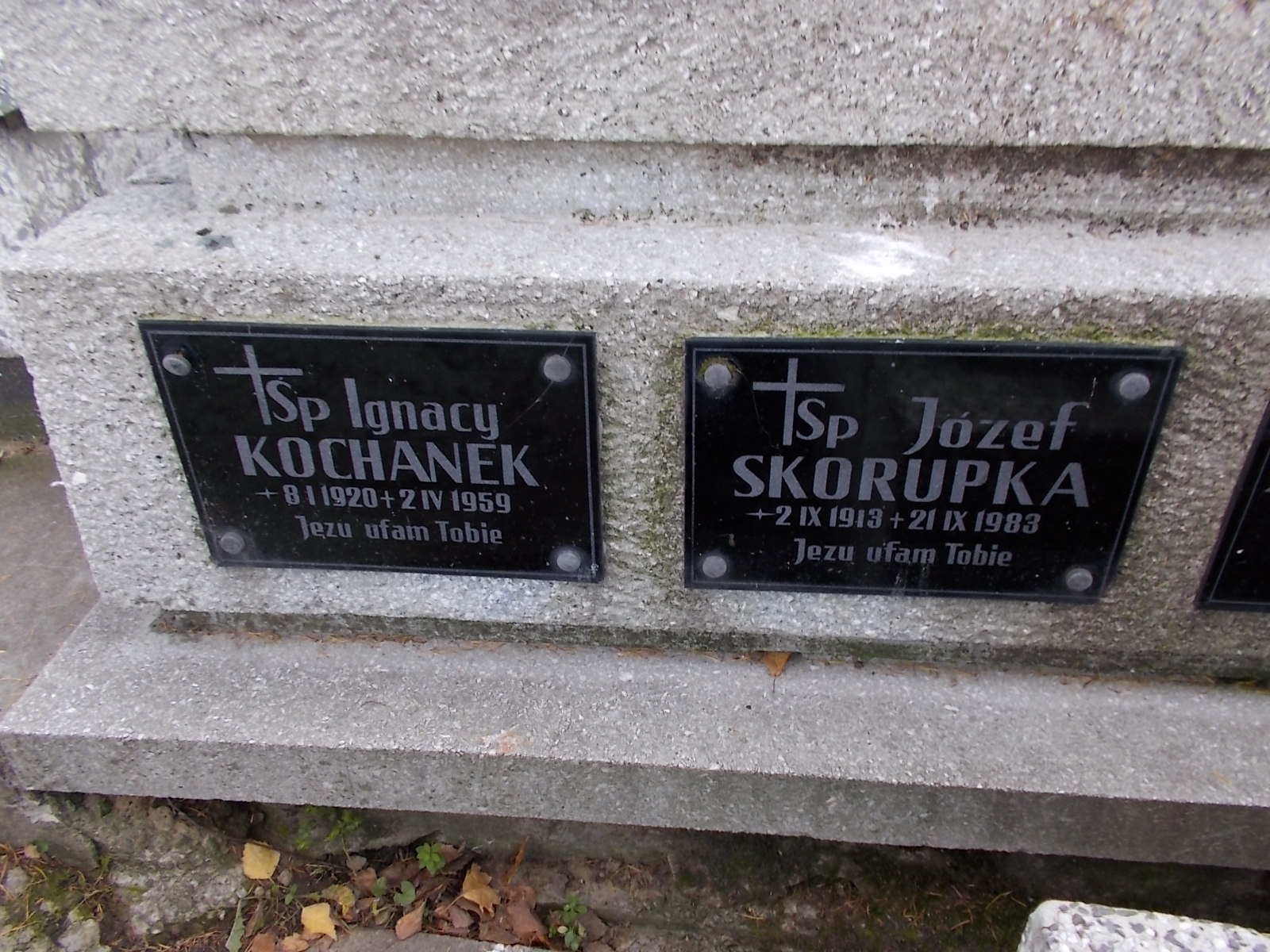 Ignacy Kochanek 1920 Nowy Sącz - Grobonet - Wyszukiwarka osób pochowanych