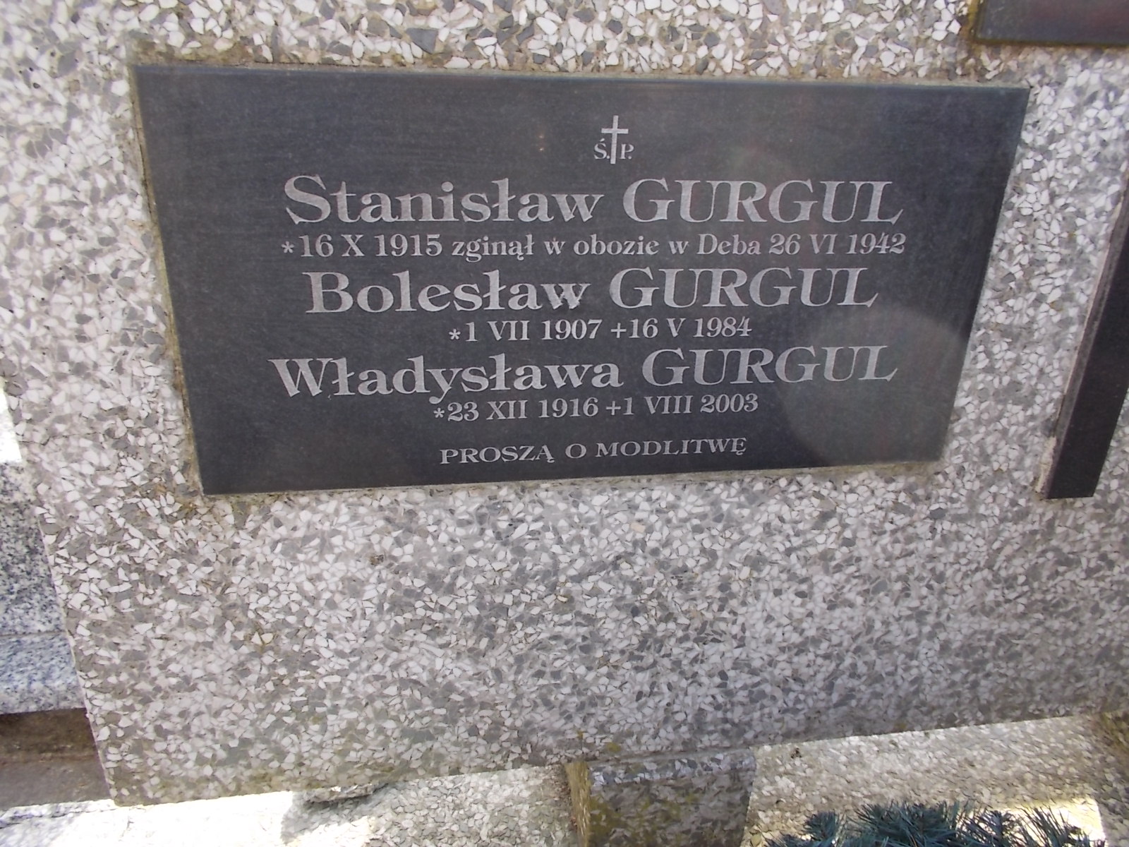Władysława Gurgul-Butscher 1936 Nowy Sącz - Grobonet - Wyszukiwarka osób pochowanych