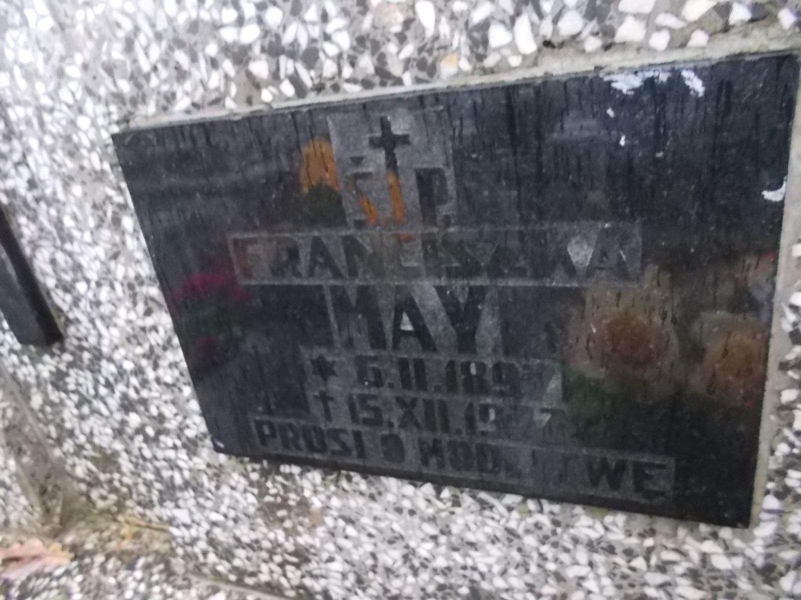 Franciszek May 1897 Nowy Sącz - Grobonet - Wyszukiwarka osób pochowanych