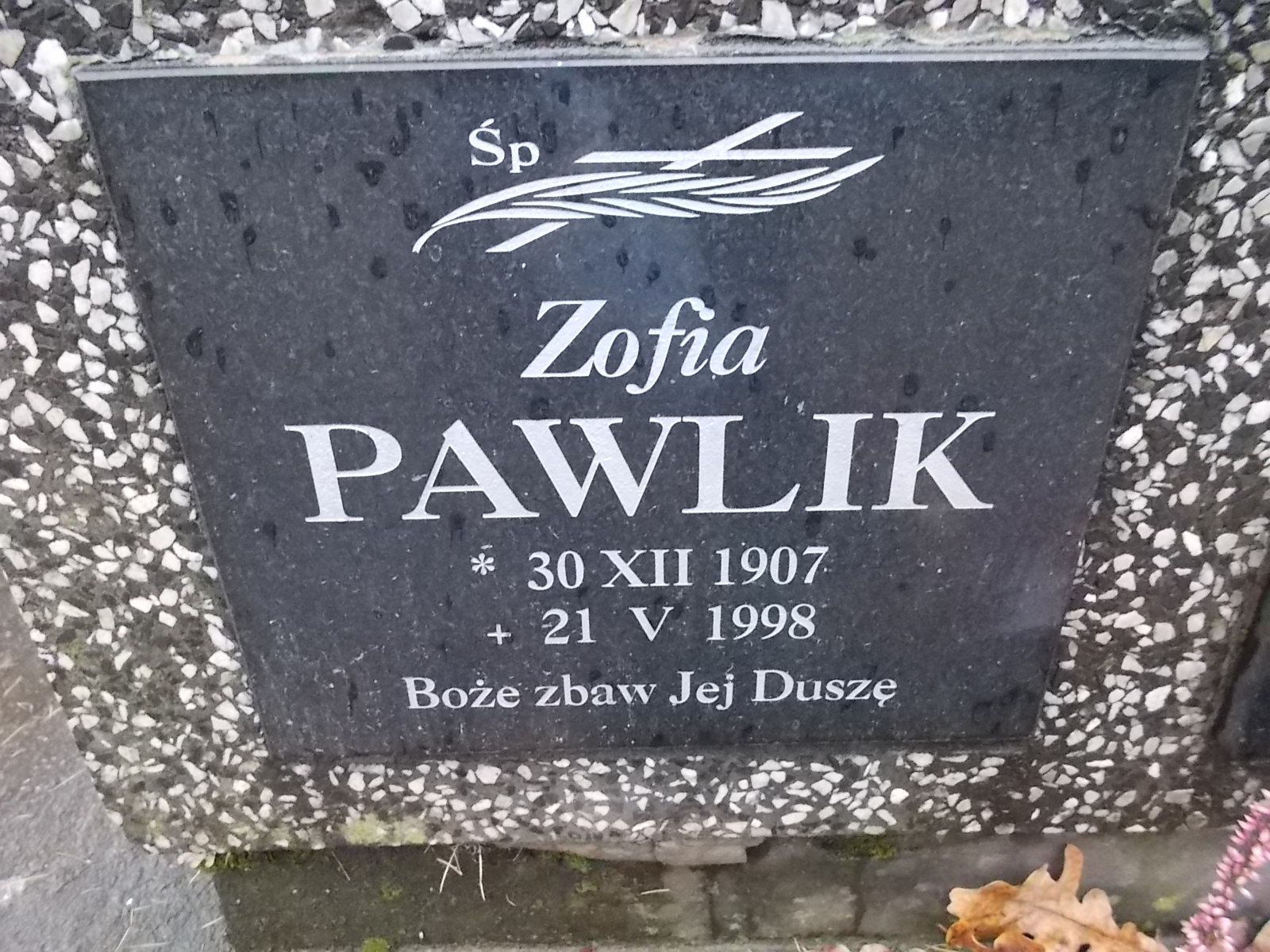Zdjęcie grobu