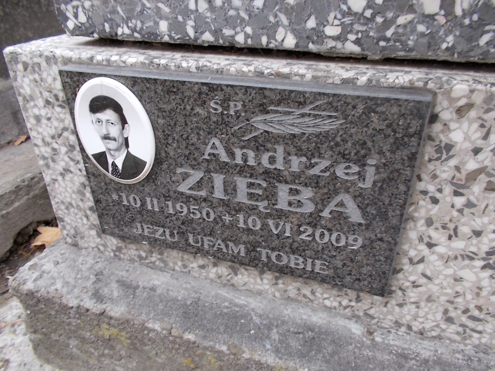 Henryka Zięba 1920 Nowy Sącz - Grobonet - Wyszukiwarka osób pochowanych