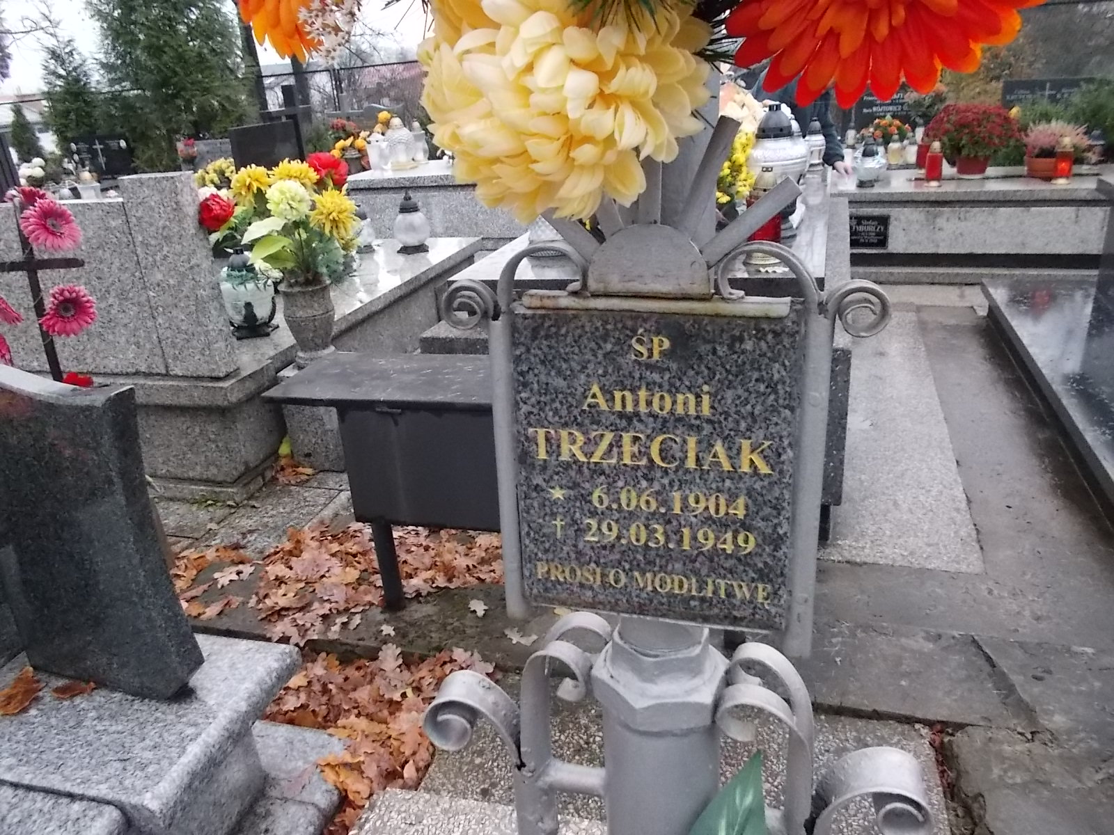 Zdjęcie grobu