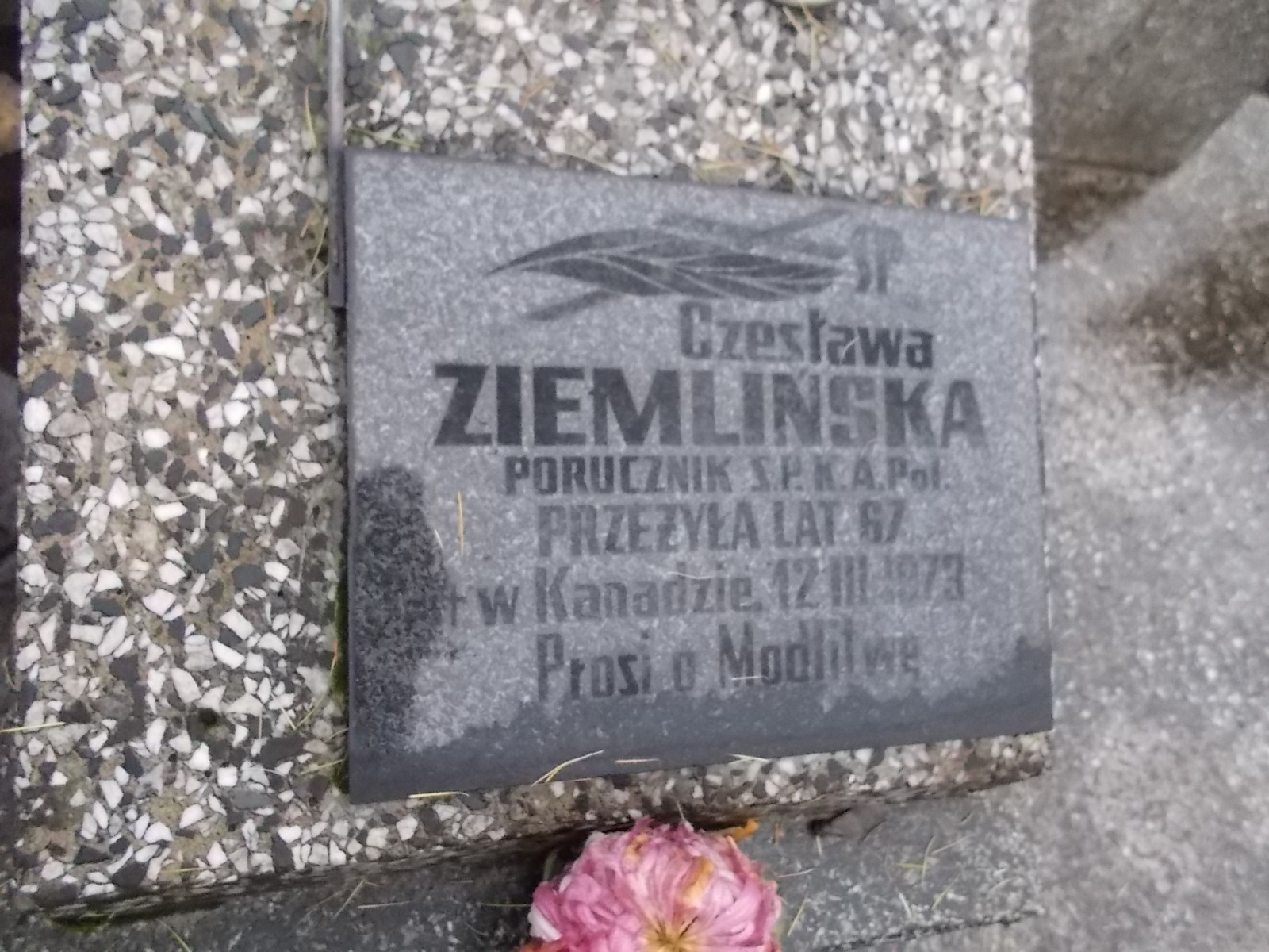 Zdjęcie grobu