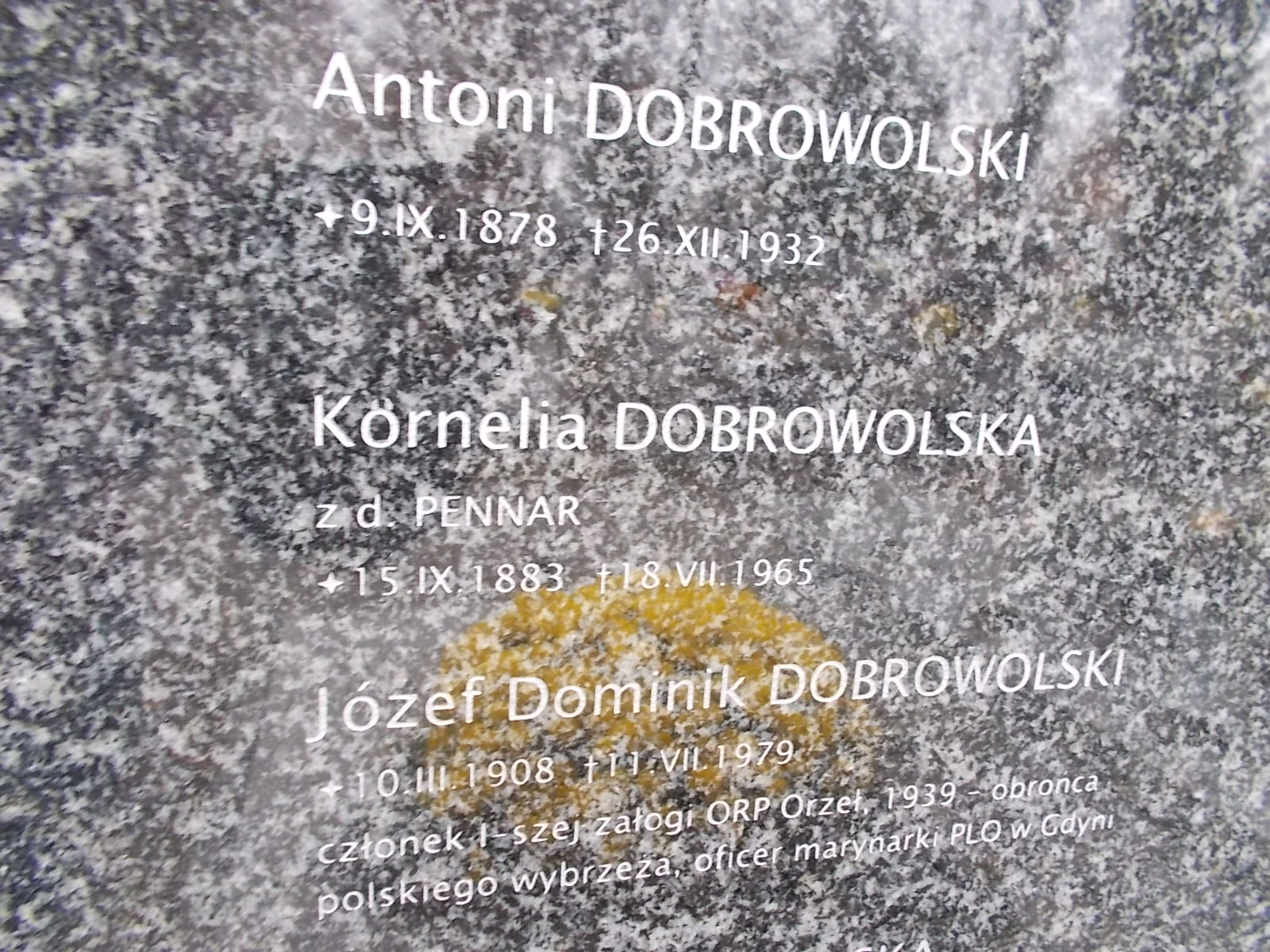 Andrzej Dobrowolski 1950 Nowy Sącz - Grobonet - Wyszukiwarka osób pochowanych