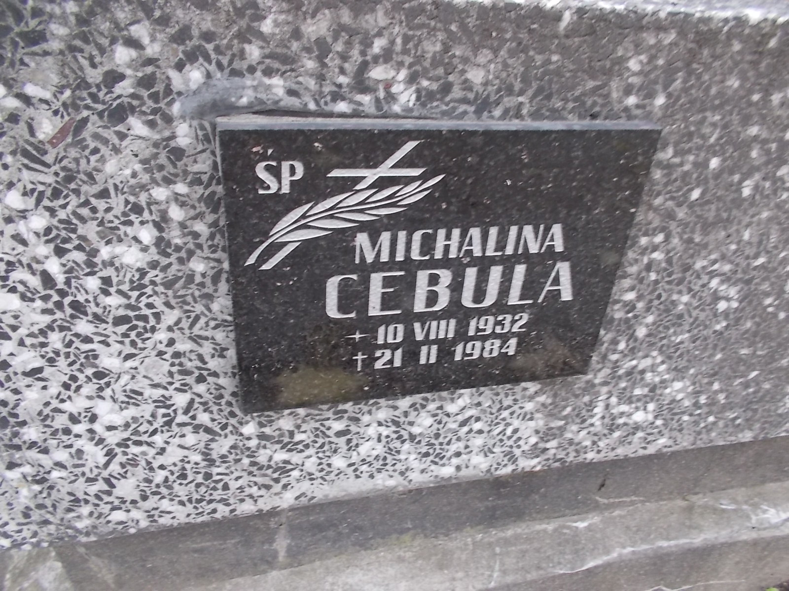 Eugeniusz Maciuszek 1932 Nowy Sącz - Grobonet - Wyszukiwarka osób pochowanych