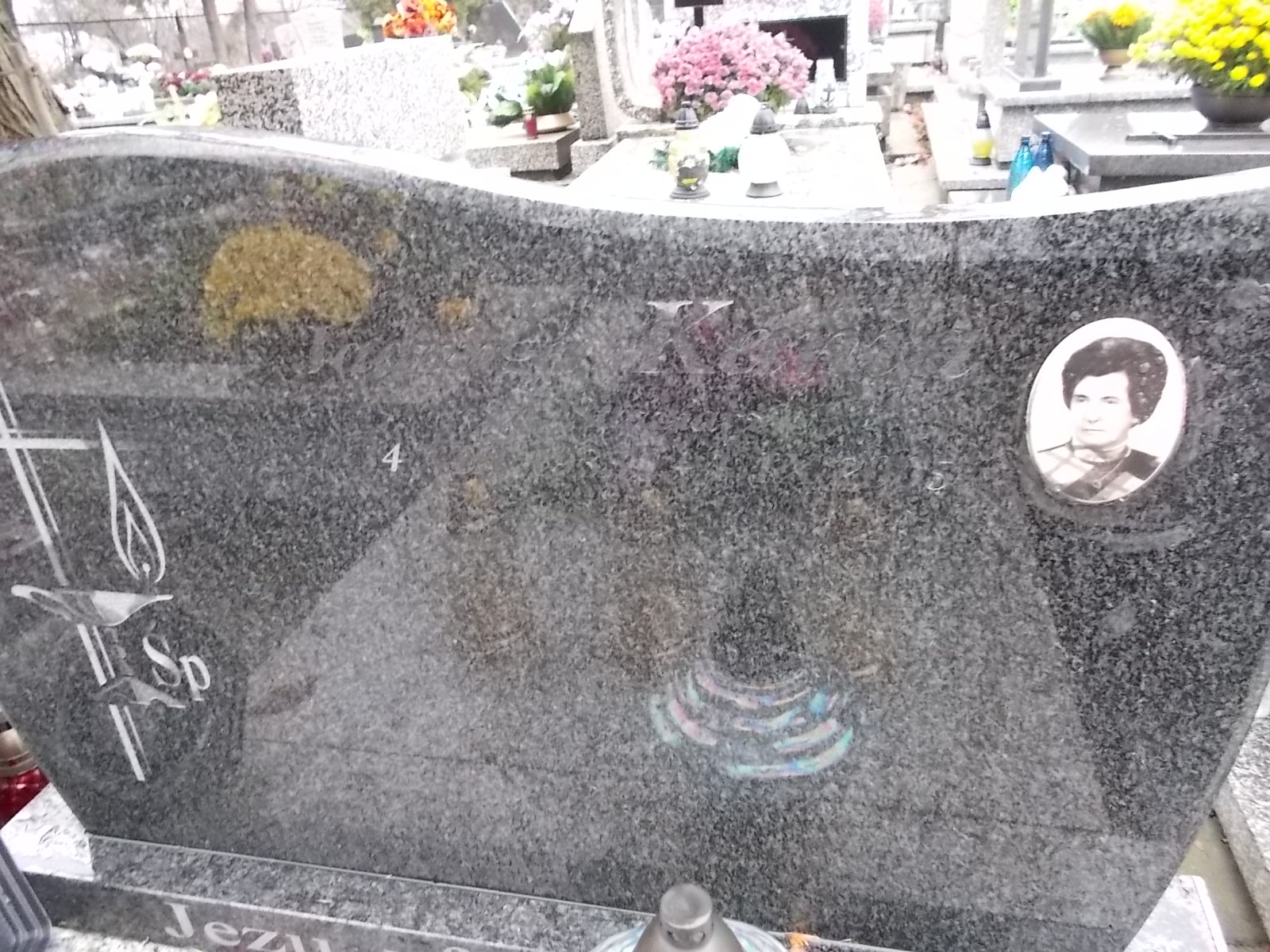 Tomasz Kania  1932 Nowy Sącz - Grobonet - Wyszukiwarka osób pochowanych