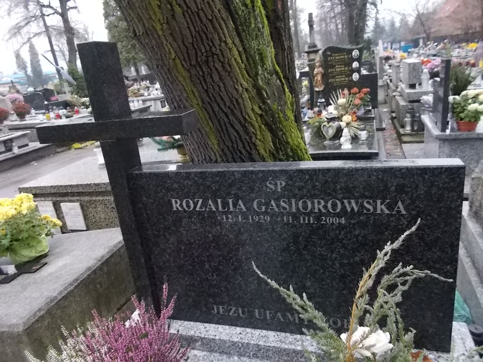 Henryk Gąsiorowski  1920 Nowy Sącz - Grobonet - Wyszukiwarka osób pochowanych