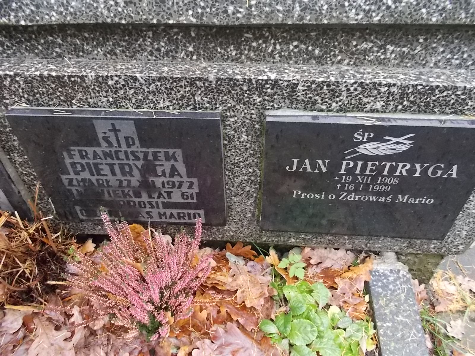 Jan Pietryga 1908 Nowy Sącz - Grobonet - Wyszukiwarka osób pochowanych