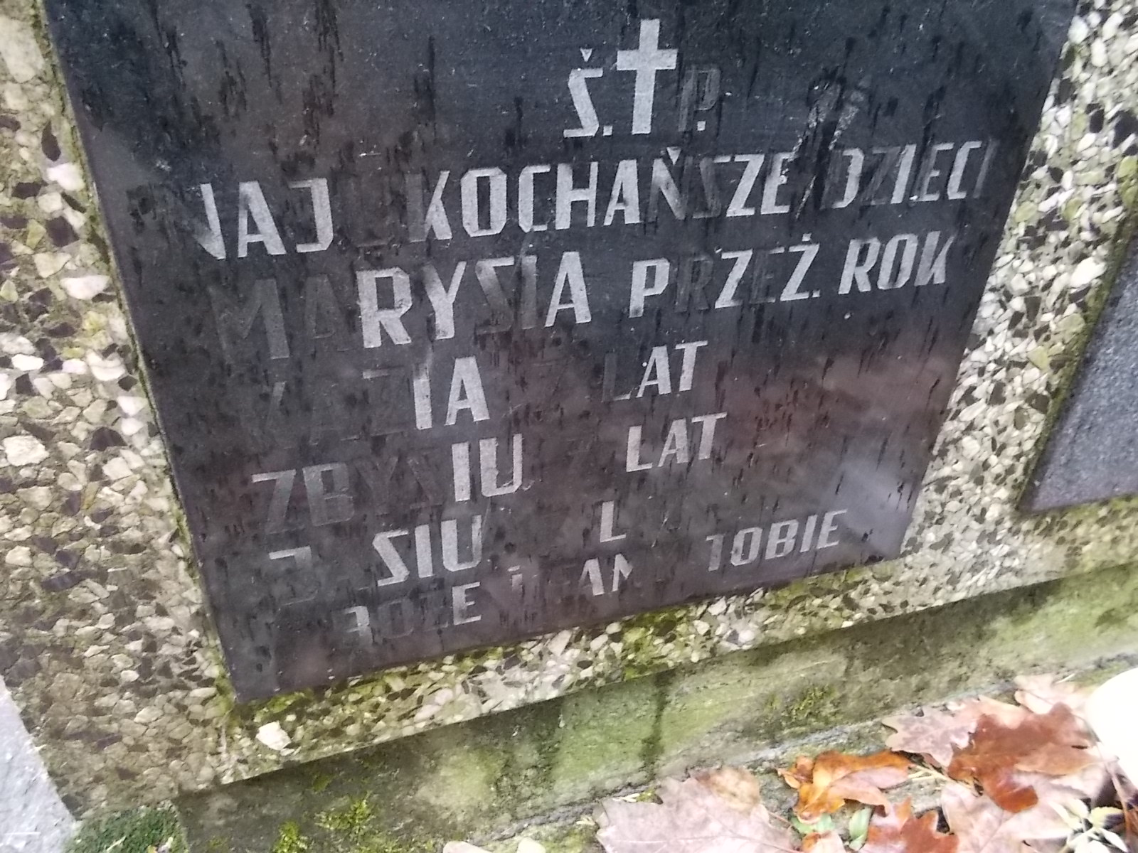 Jan Kos Nowy Sącz - Grobonet - Wyszukiwarka osób pochowanych