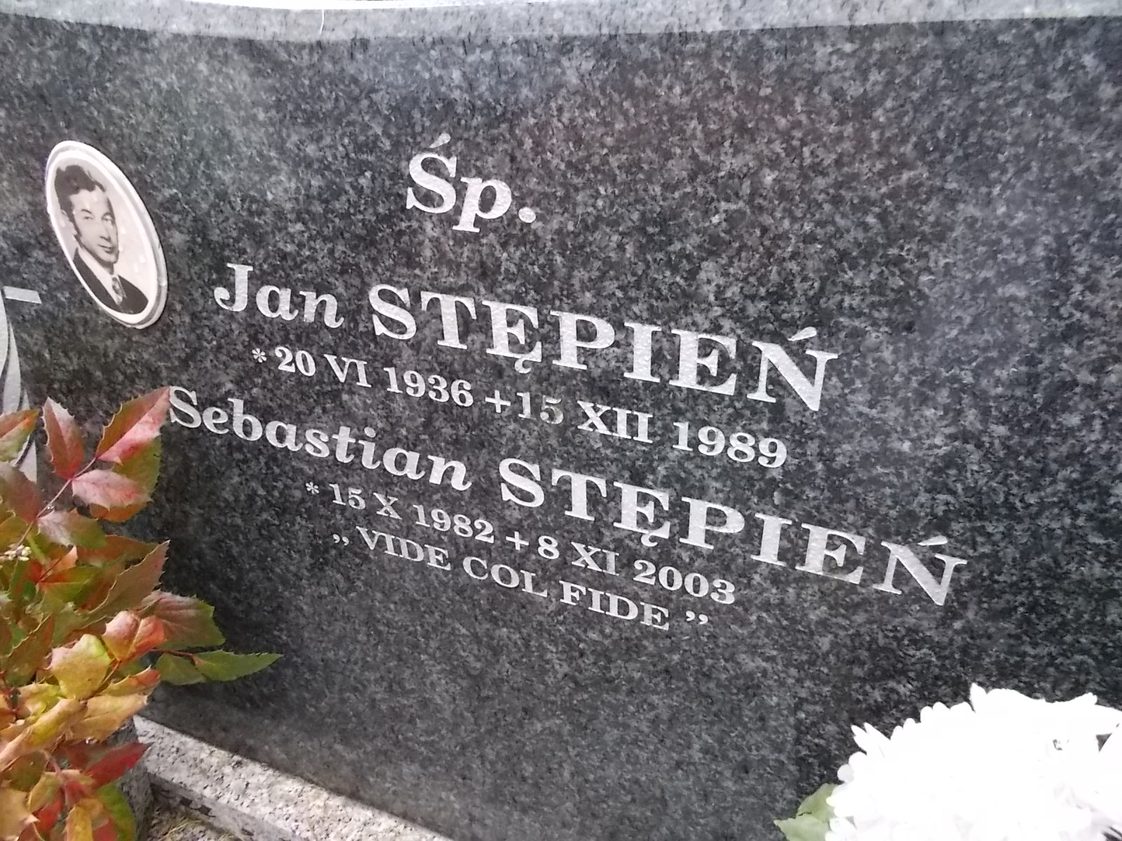 Jan Stępień 1936 Nowy Sącz - Grobonet - Wyszukiwarka osób pochowanych