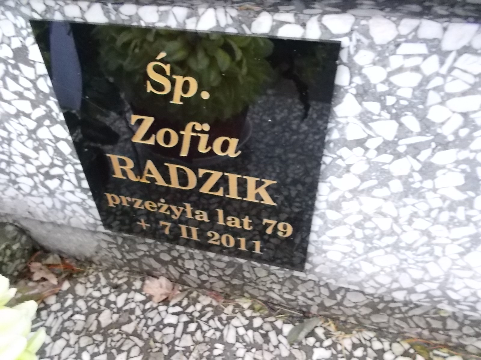 Zdjęcie grobu