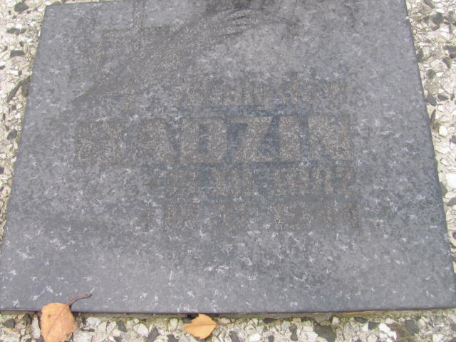 Władysław Radzin 1882 Nowy Sącz - Grobonet - Wyszukiwarka osób pochowanych