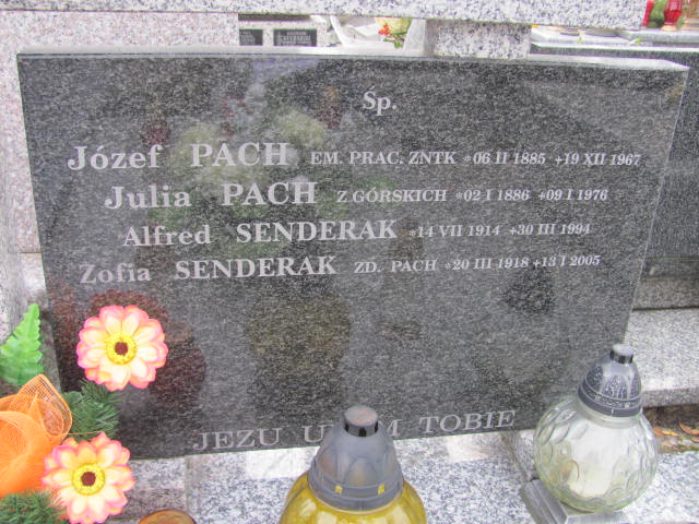 Julia Pach 1886 Nowy Sącz - Grobonet - Wyszukiwarka osób pochowanych