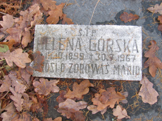 Halina Helena 1899 Nowy Sącz - Grobonet - Wyszukiwarka osób pochowanych