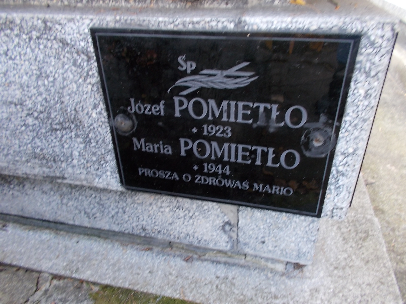 Józef Orlicz 1910 Nowy Sącz - Grobonet - Wyszukiwarka osób pochowanych