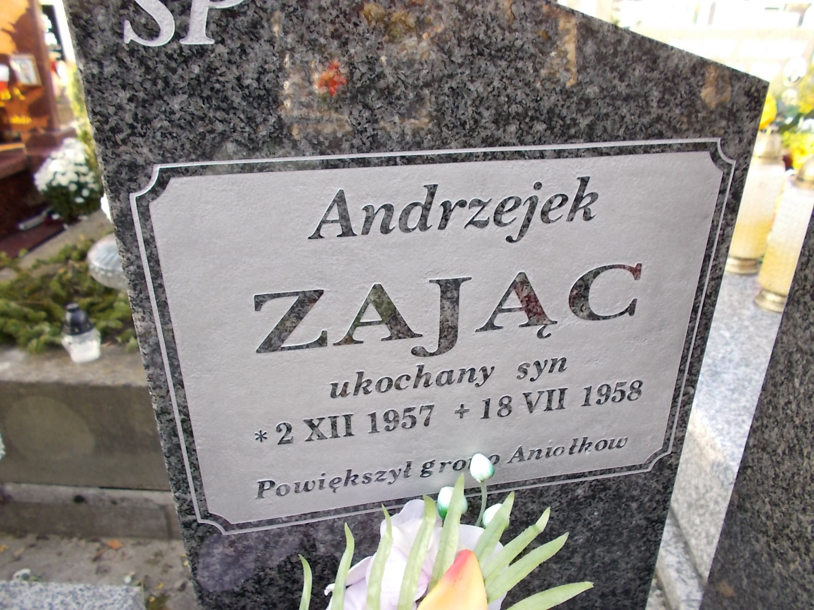 Zdjęcie grobu