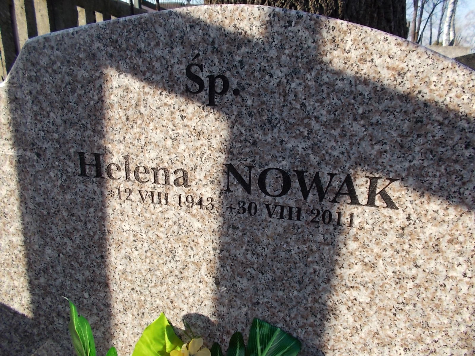 Alicja Nowak 1965 Nowy Sącz - Grobonet - Wyszukiwarka osób pochowanych