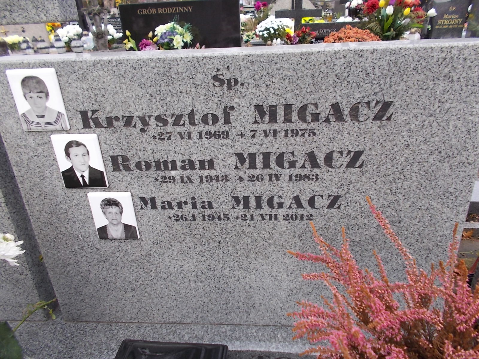 Krzysztof Migacz 1969 Nowy Sącz - Grobonet - Wyszukiwarka osób pochowanych