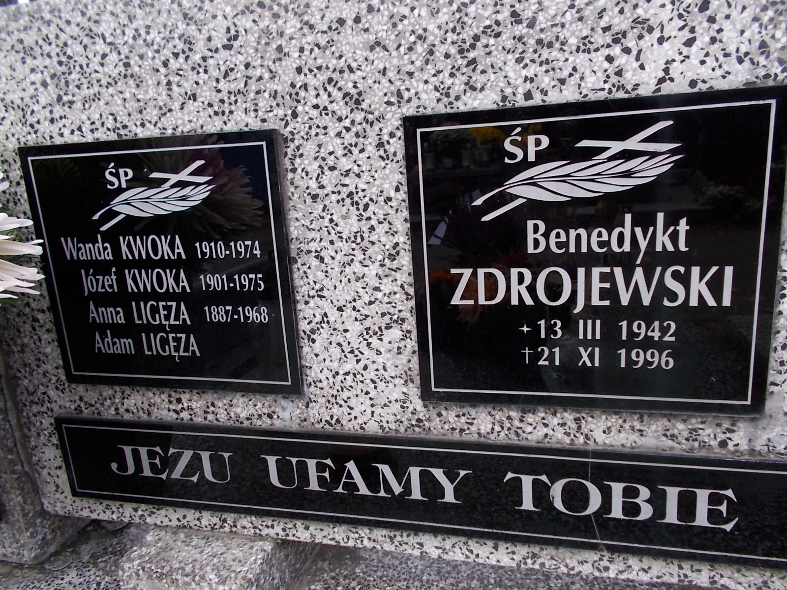 Anna Ligęza 1887 Nowy Sącz - Grobonet - Wyszukiwarka osób pochowanych