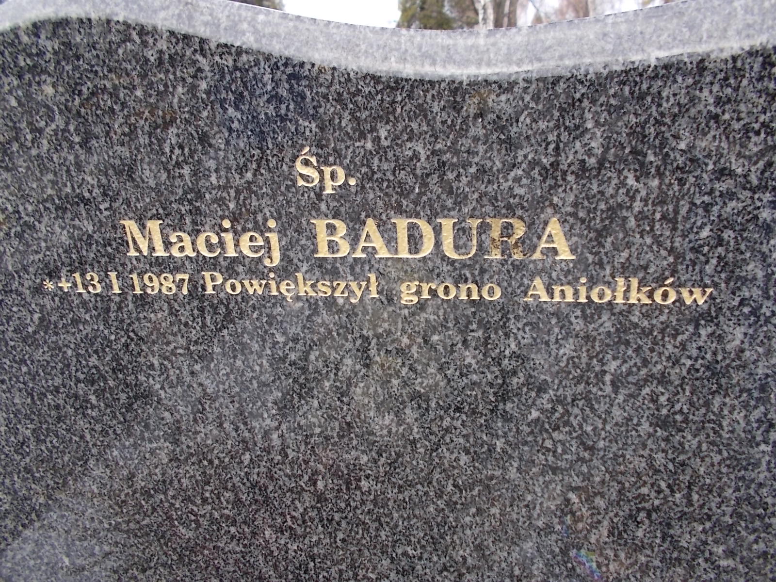 Maciej Badura  1987 Nowy Sącz - Grobonet - Wyszukiwarka osób pochowanych