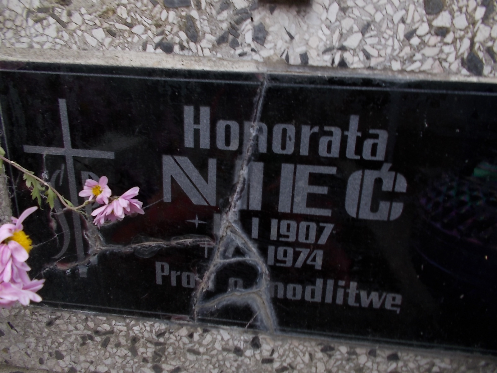 Honorata Nieć 1907 Nowy Sącz - Grobonet - Wyszukiwarka osób pochowanych