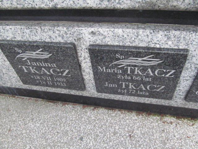 Zygmunt Tkacz 1898 Nowy Sącz - Grobonet - Wyszukiwarka osób pochowanych