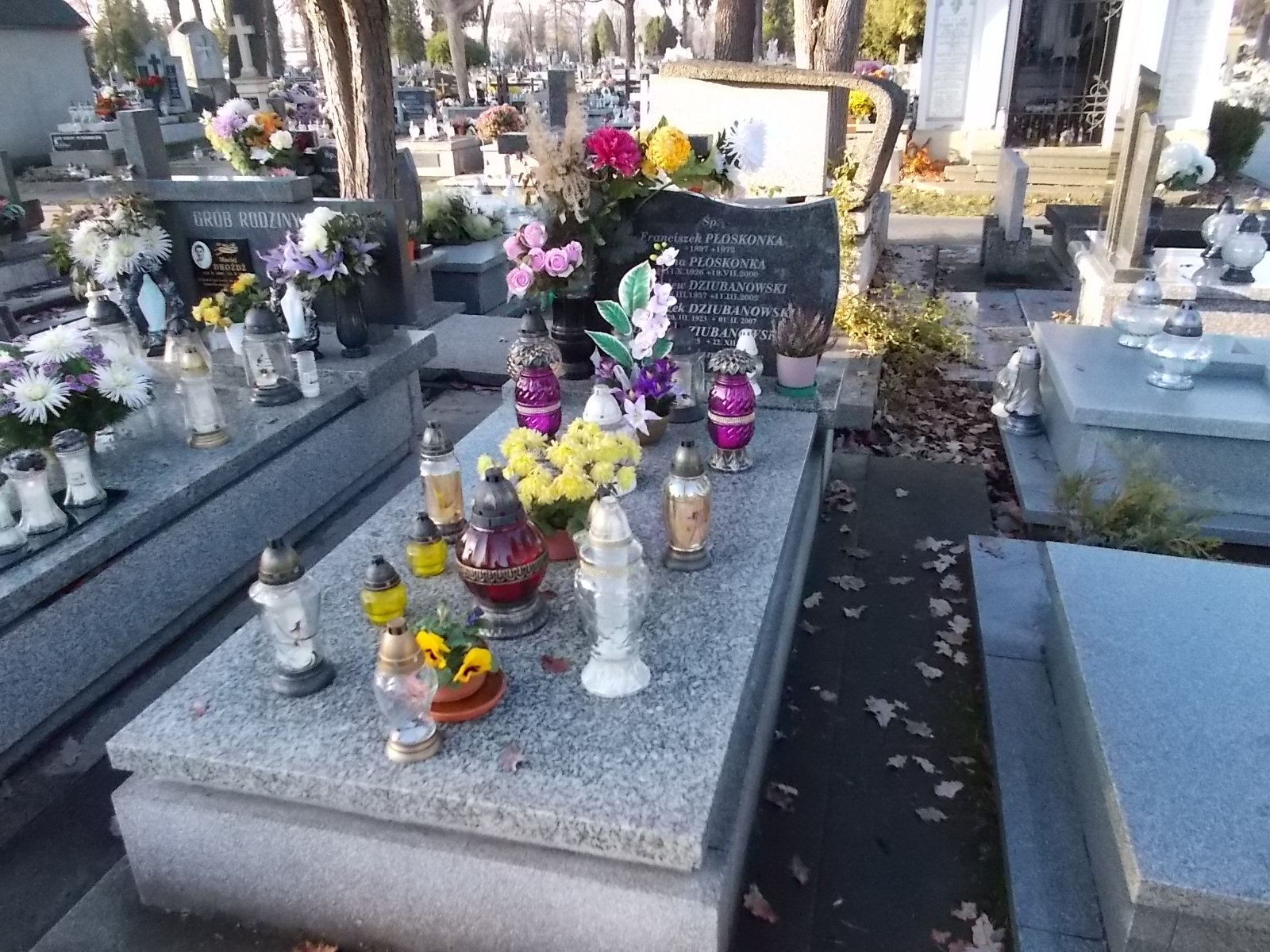 Grób Franciszek Dziubanowski