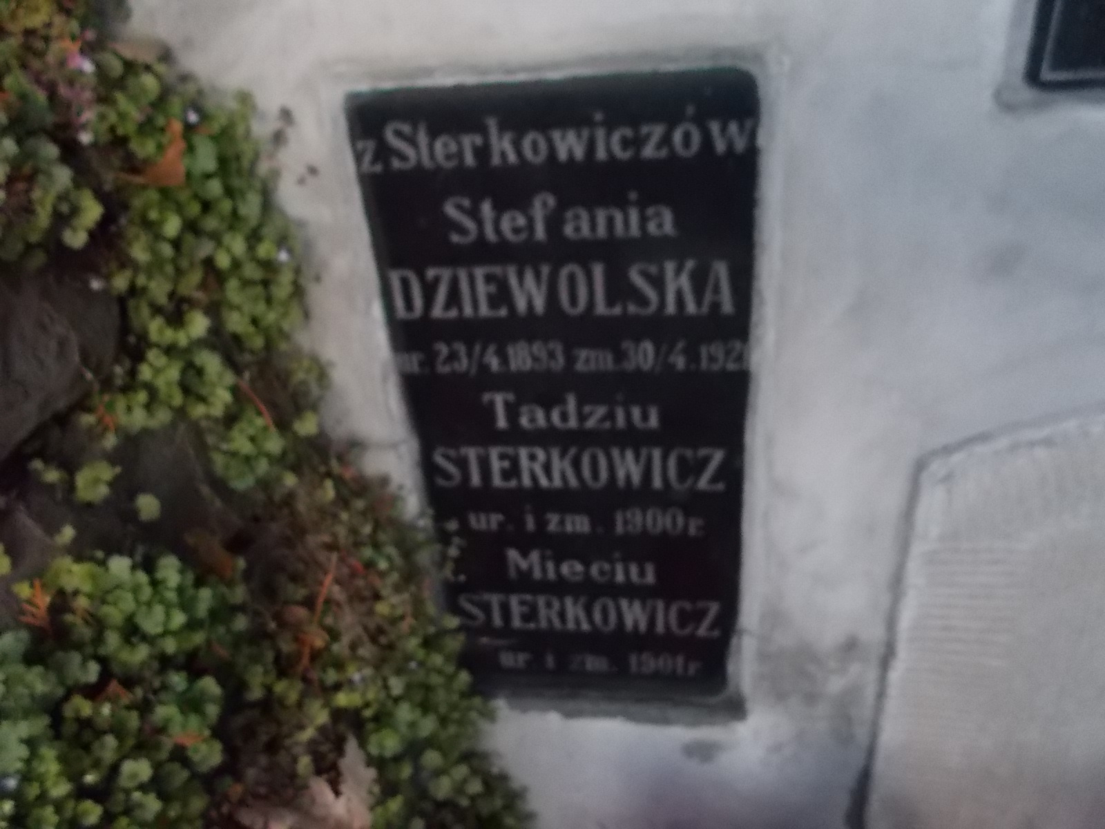 Zdjęcie grobu