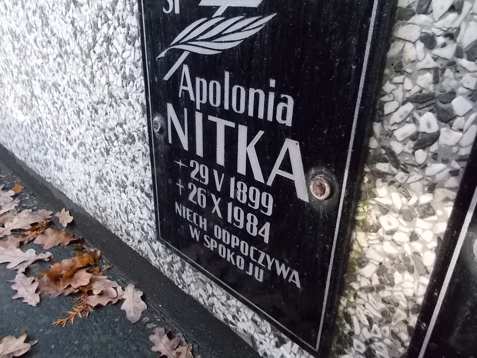 Zdjęcie grobu
