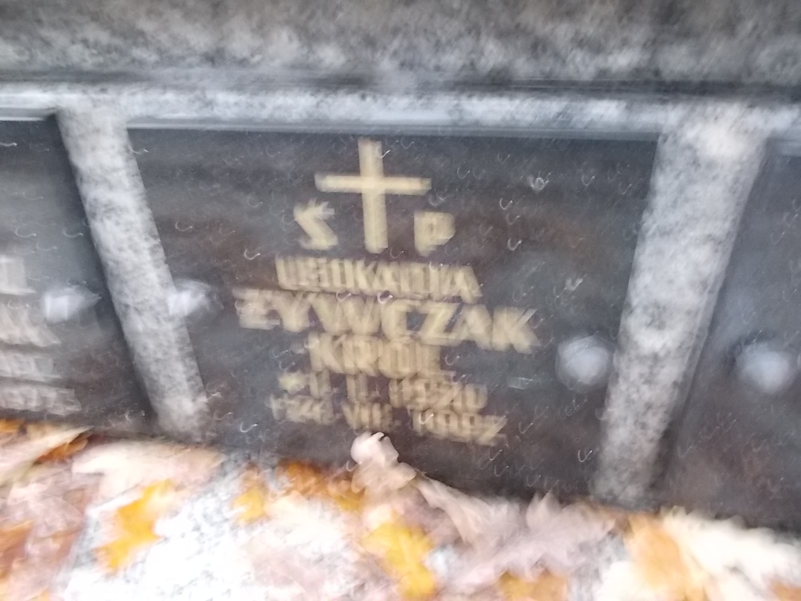 Urszula Dąbrowska 1894 Nowy Sącz - Grobonet - Wyszukiwarka osób pochowanych