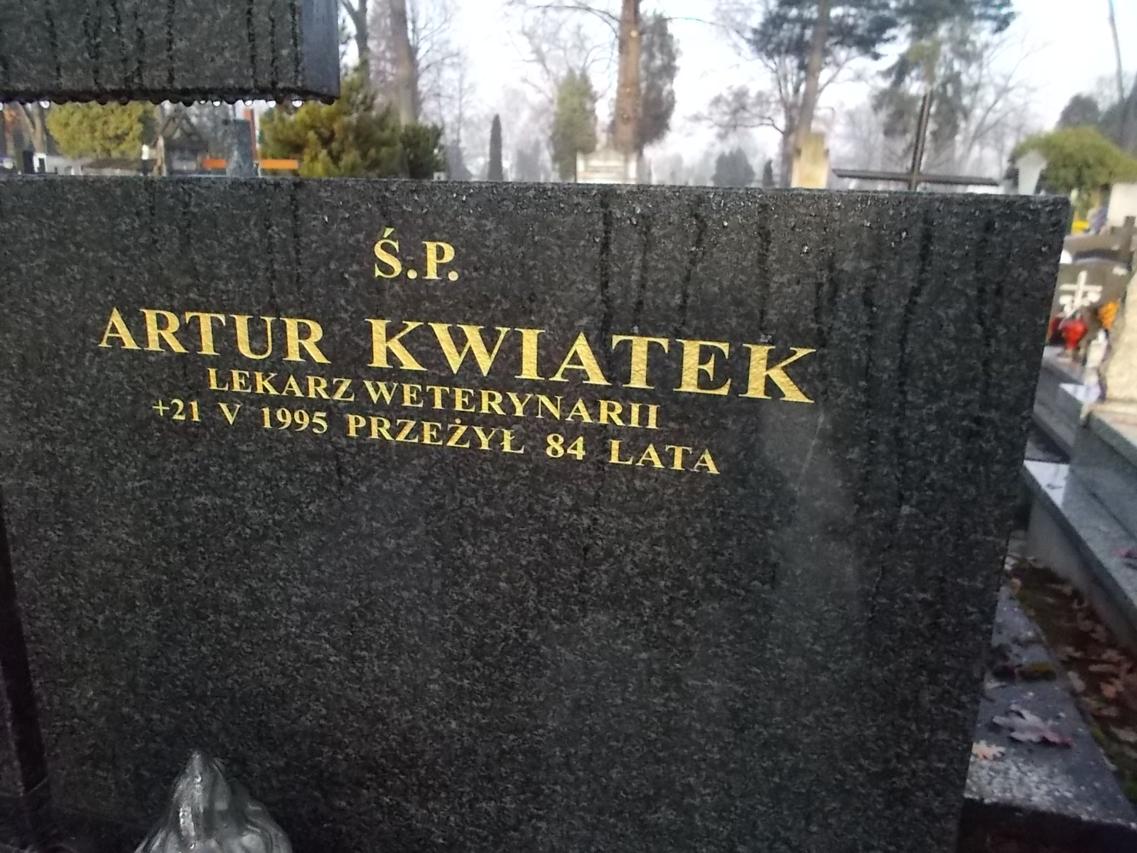 Zdjęcie grobu