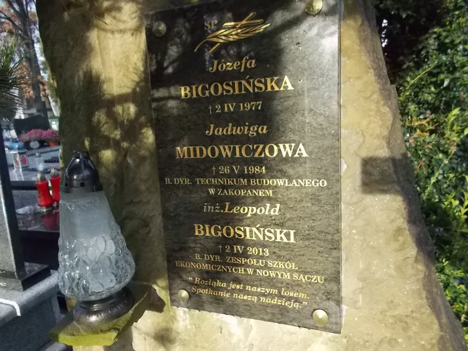 Leopold Bigosiński 1929 Nowy Sącz - Grobonet - Wyszukiwarka osób pochowanych