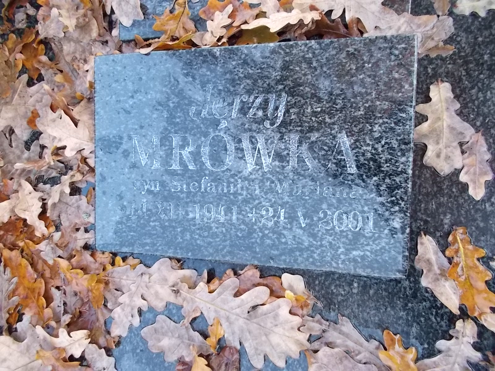 Jerzy Mrówka 1941 Nowy Sącz - Grobonet - Wyszukiwarka osób pochowanych