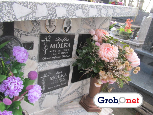 Anna Nowakowska 2024 Nowy Sącz - Grobonet - Wyszukiwarka osób pochowanych